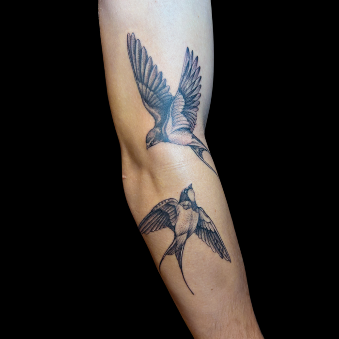 Texto do seu parágrafo.zip - 1.png Thumbnail