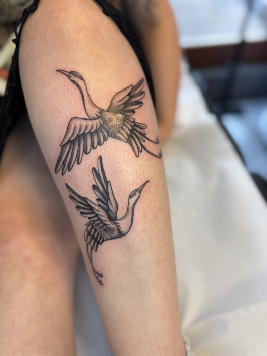 IMG_9445.jpeg Thumbnail