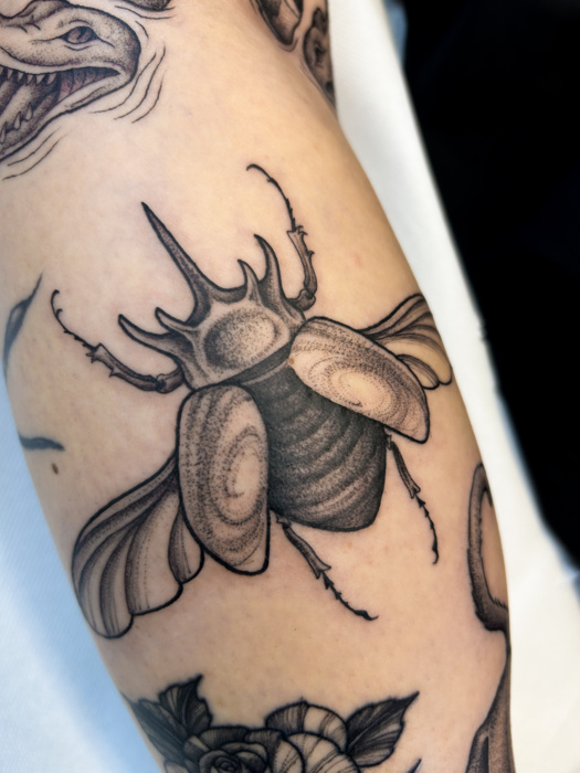 IMG_8222.jpeg Thumbnail