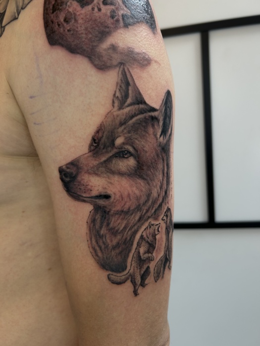 IMG_9149.jpeg Thumbnail